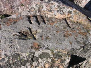 M y C en calle Capellana