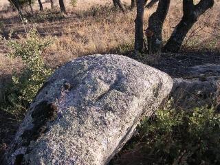 cruces en finca cercana al Postuero