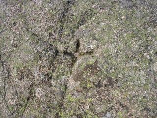 cruz en el Portillo de la Mina