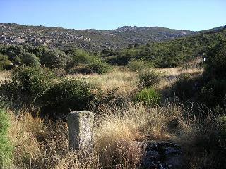 mojn junto al arroyo del Endrinal