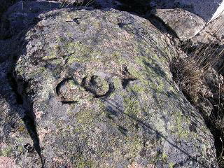 CO de C. Mediano cerca de "peña las aguas"
