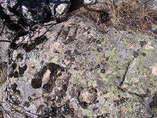 MO de Moralzarzal cerca de "peña las aguas"