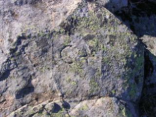 C de C. Mediano en el Telégrafo