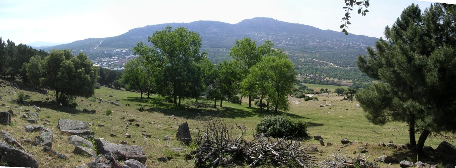  vista de la chopera desde el romeral 